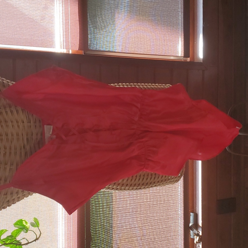 Red teddy